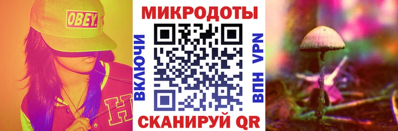 Галлюциногенные грибы Psilocybine cubensis  Цивильск 